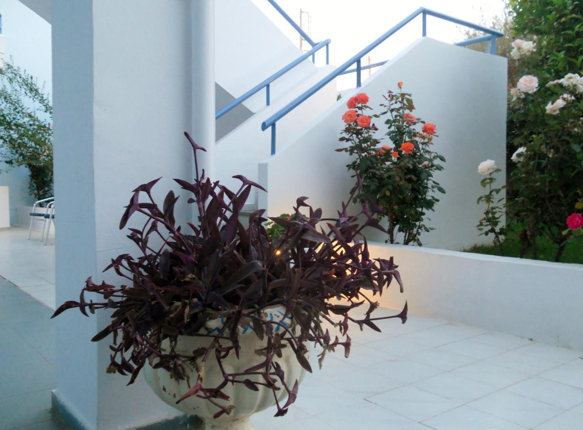 סקאפידיה Dimitra Apartment Hotel מראה חיצוני תמונה