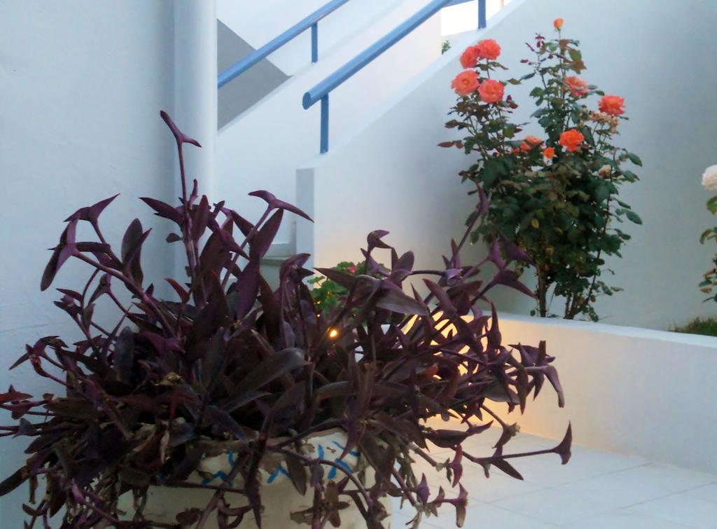 סקאפידיה Dimitra Apartment Hotel מראה חיצוני תמונה